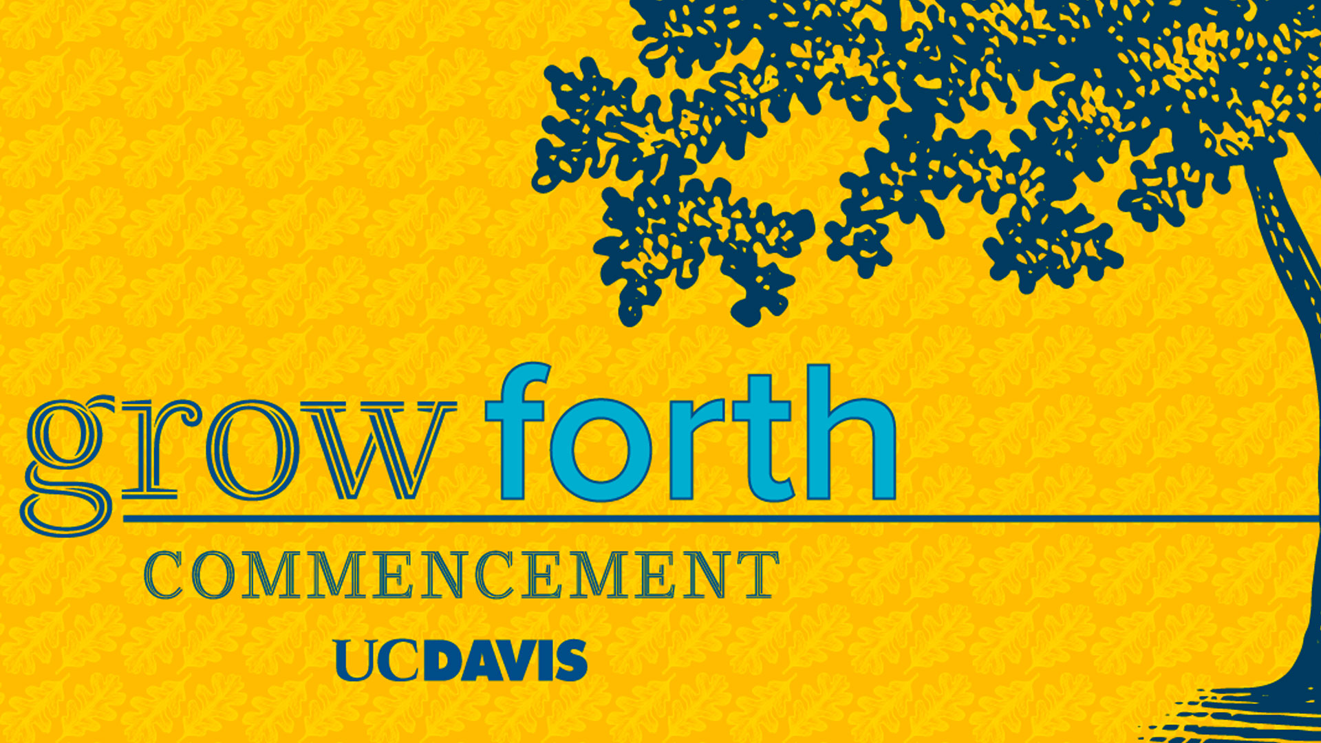 Uc Davis 2023 Commencement - Golden 1 Center